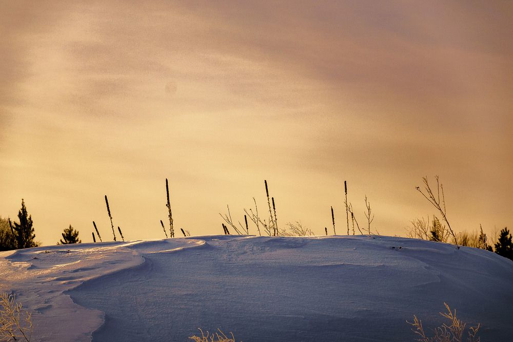 Photograph by Оксана Батракова