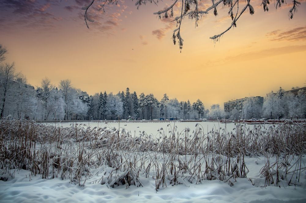 Photograph by Мария Кислякова