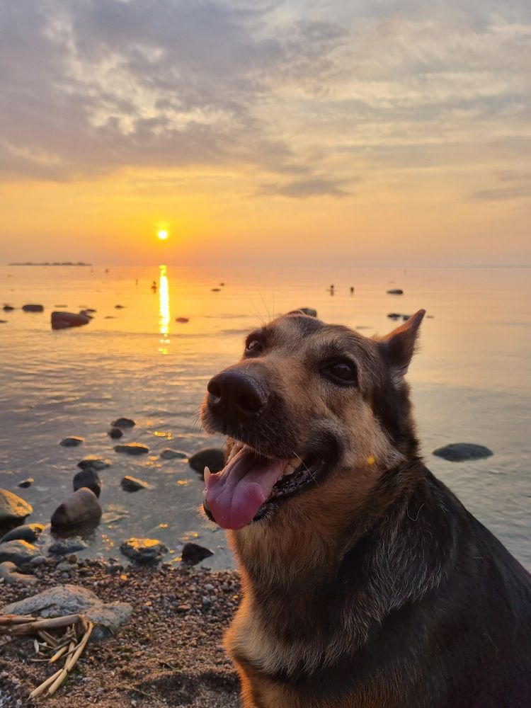 Photograph by Максим Иванов