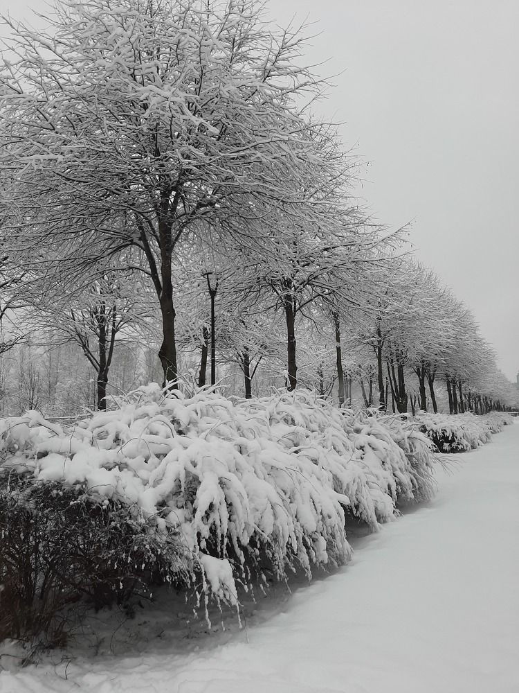 Фотография автора Светлана Дунаева