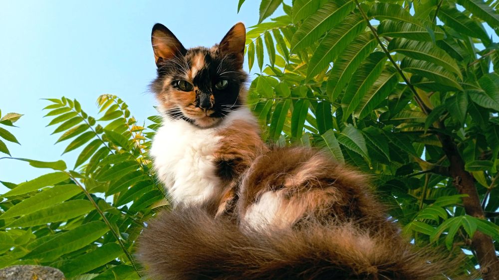 Photograph by Екатерина Щербина