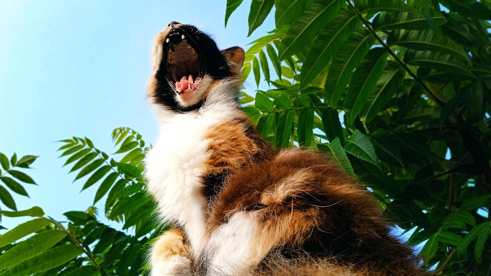 Photograph by Екатерина Щербина