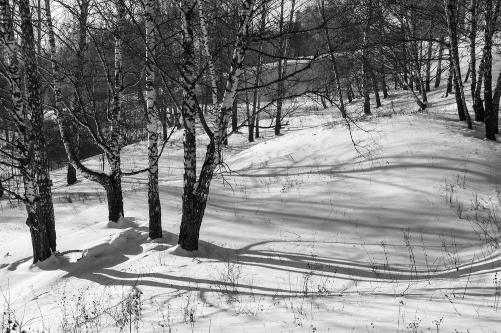 Photograph by Екатерина Пашкова