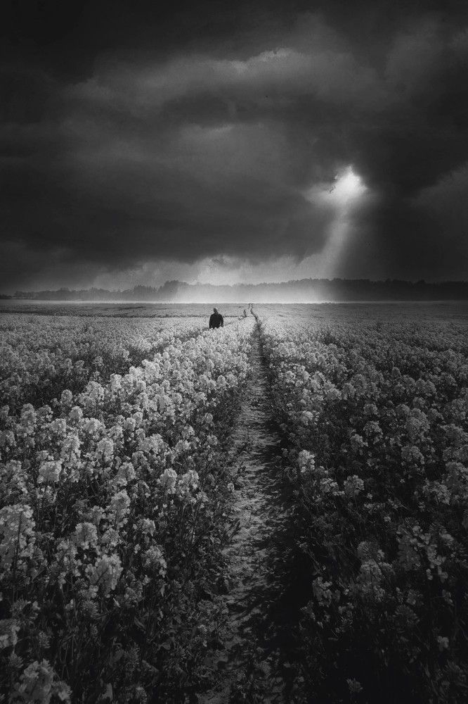 Photograph by Татьяна Максакова