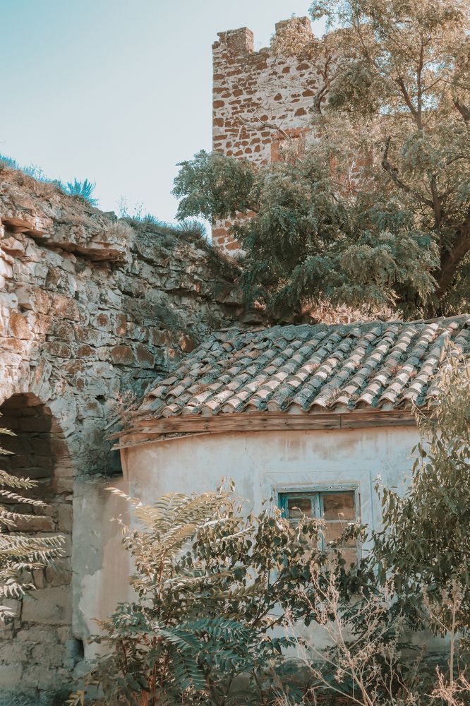 Photograph by Алексей Голубев