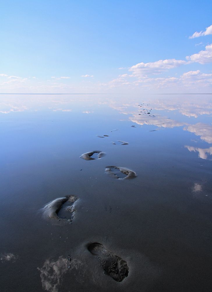 Следы на воде