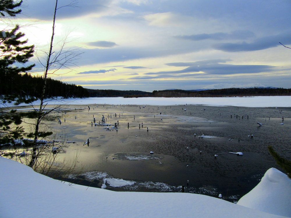 Photograph by Ирина Осипова