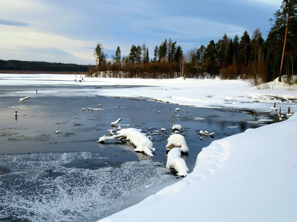 Photograph by Ирина Осипова