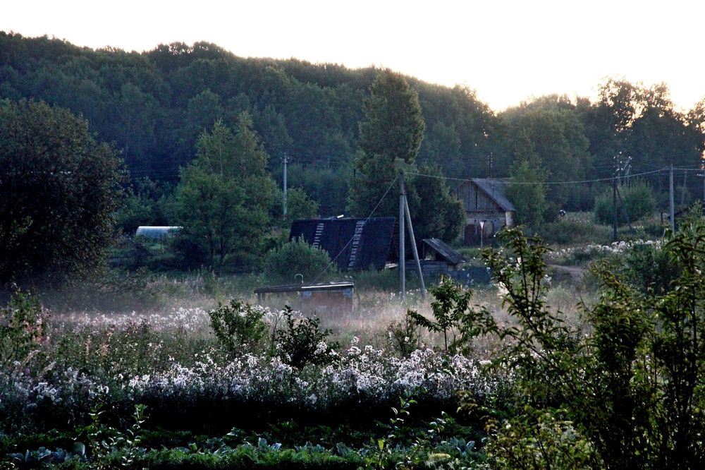 Photograph by Александр Бугаенко