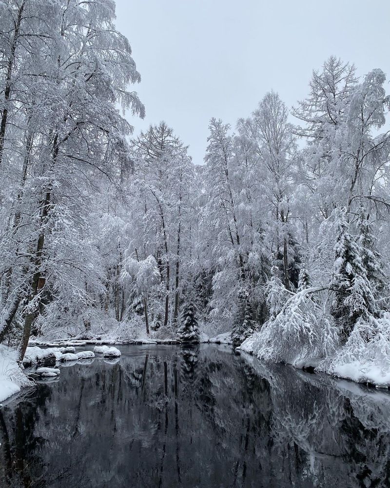 Photograph by Виталия