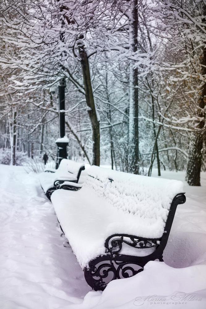 Скамья в парке