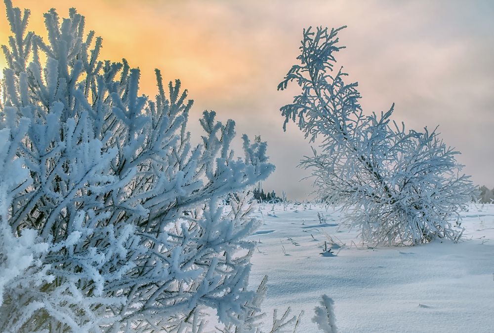 Синий-синий иней...