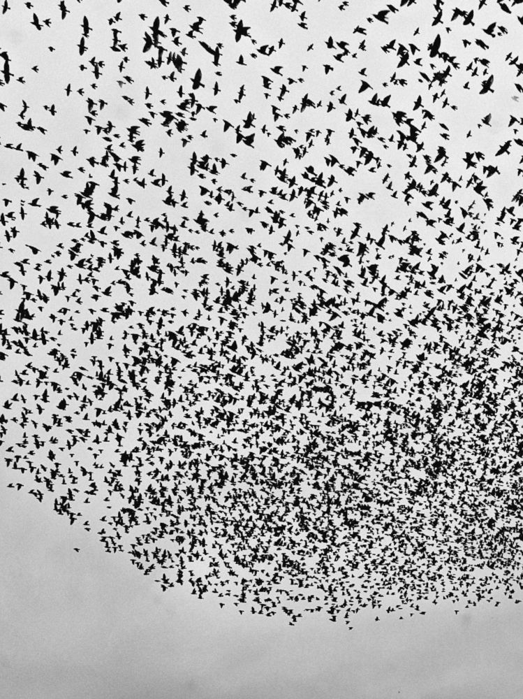 Photograph by Victoria Stoliarenko