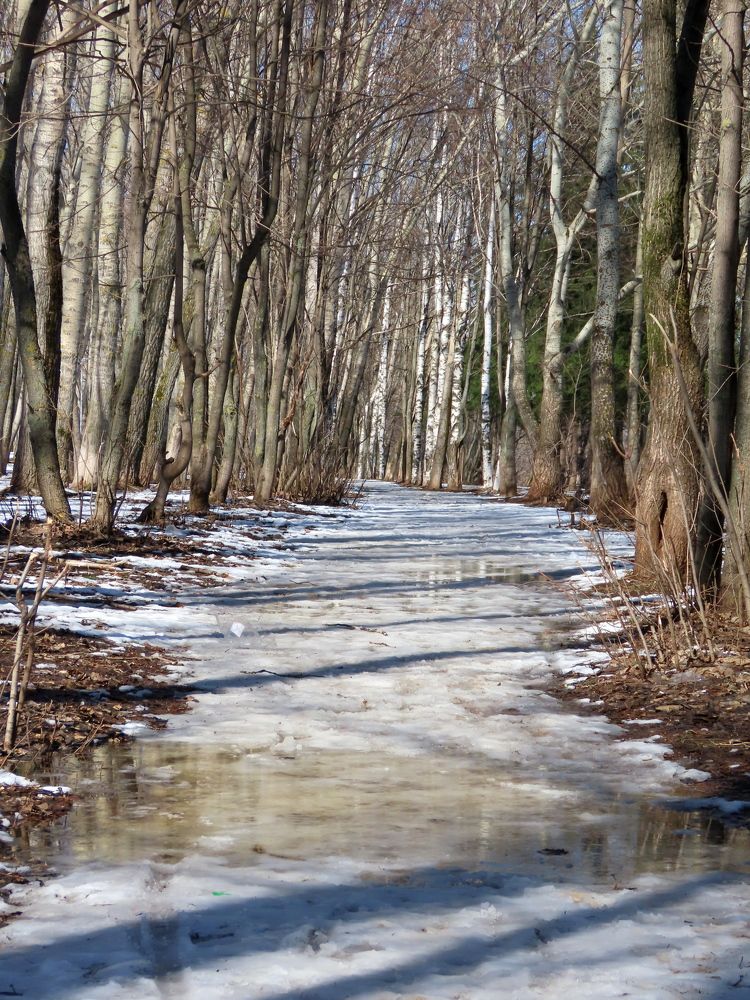 Апрельским солнечным деньком гуляли мы с тобой вдвоем...