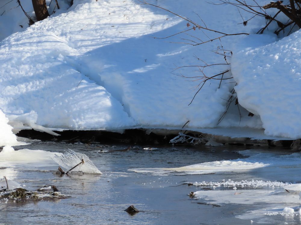 Photograph by Екатерина Рогожникова