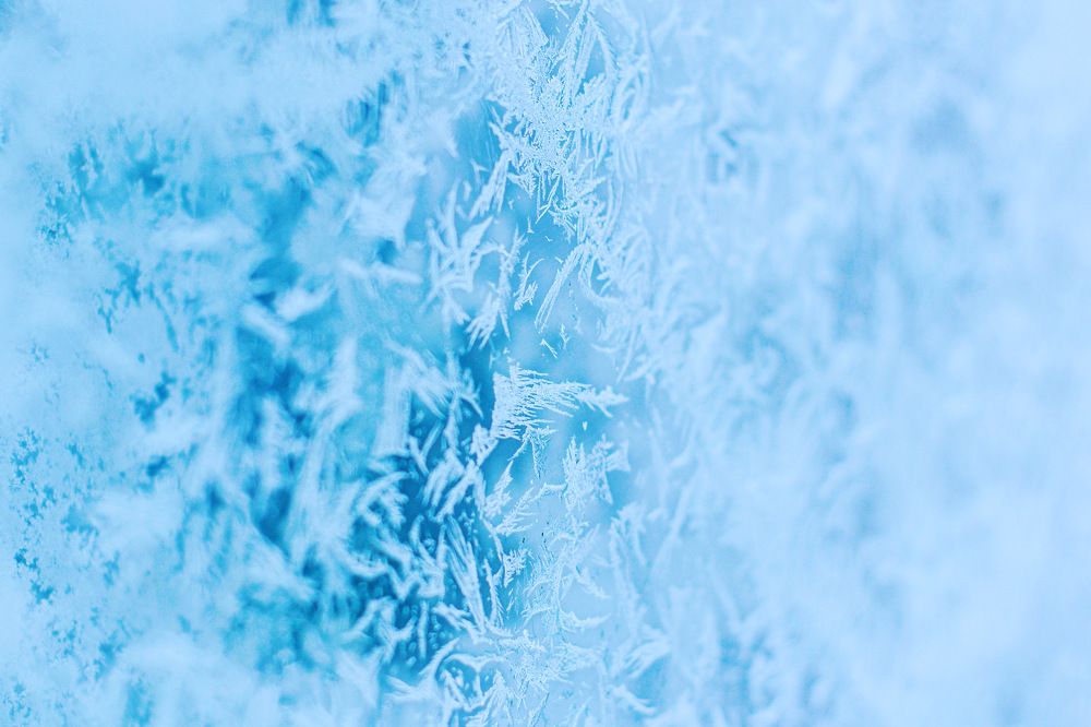 Photograph by Ольга Темкина