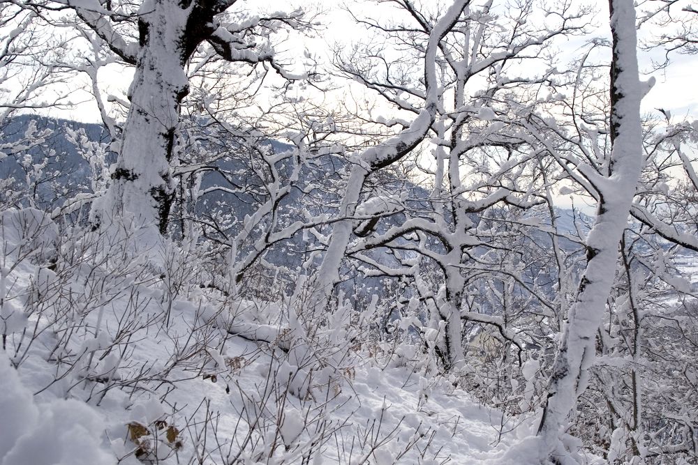 Photograph by Роман Приходько