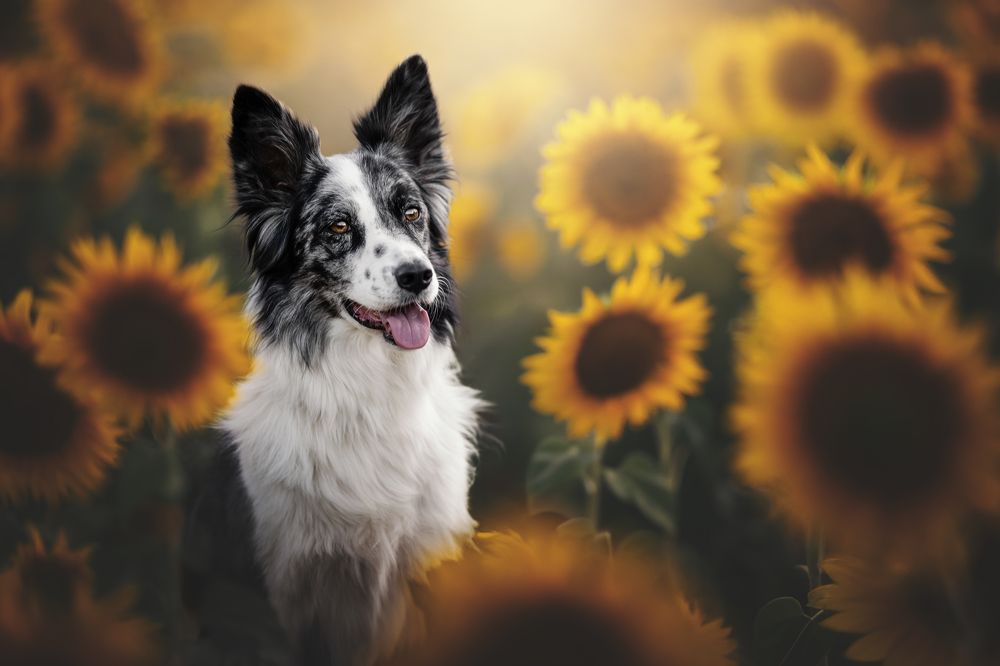 Фотография автора Rut Casanellas