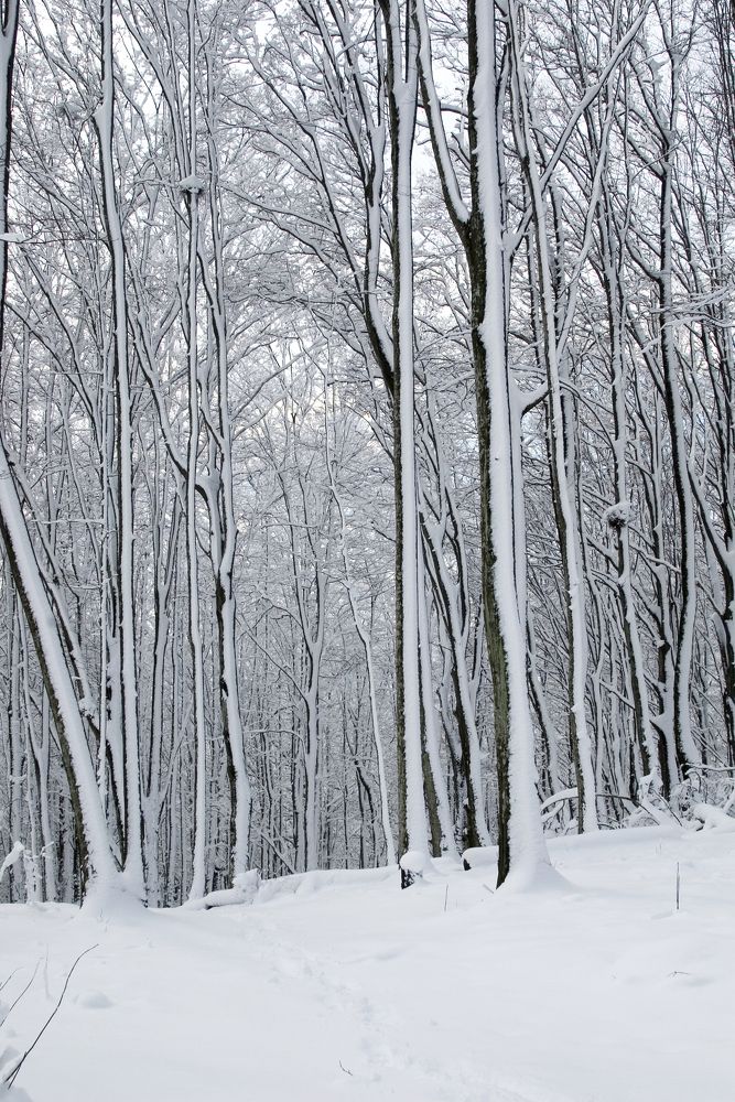 Photograph by Роман Приходько