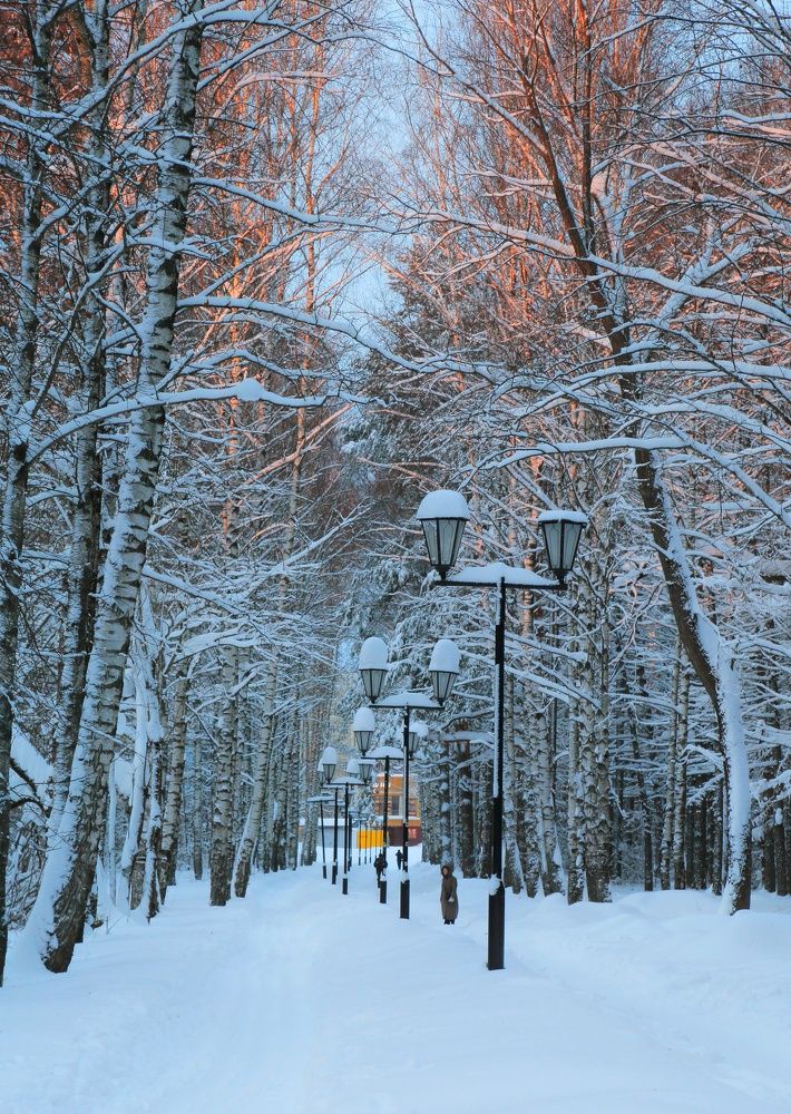 Photograph by Мария Андреева