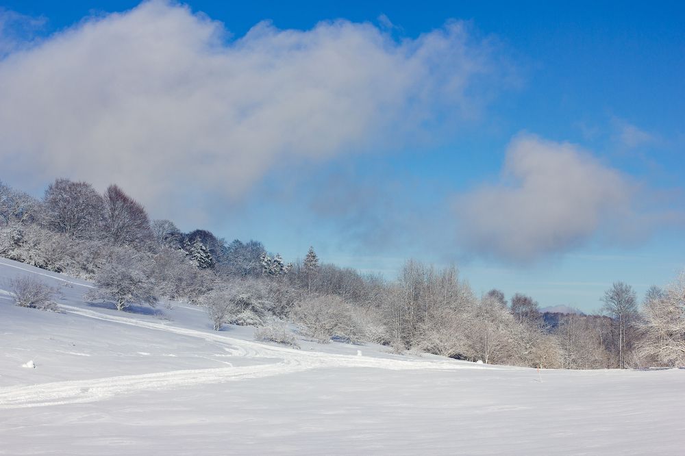 Photograph by Ольга Богданова