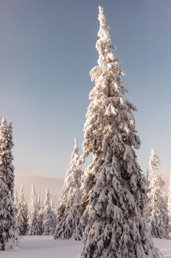 Photograph by Anna Rom