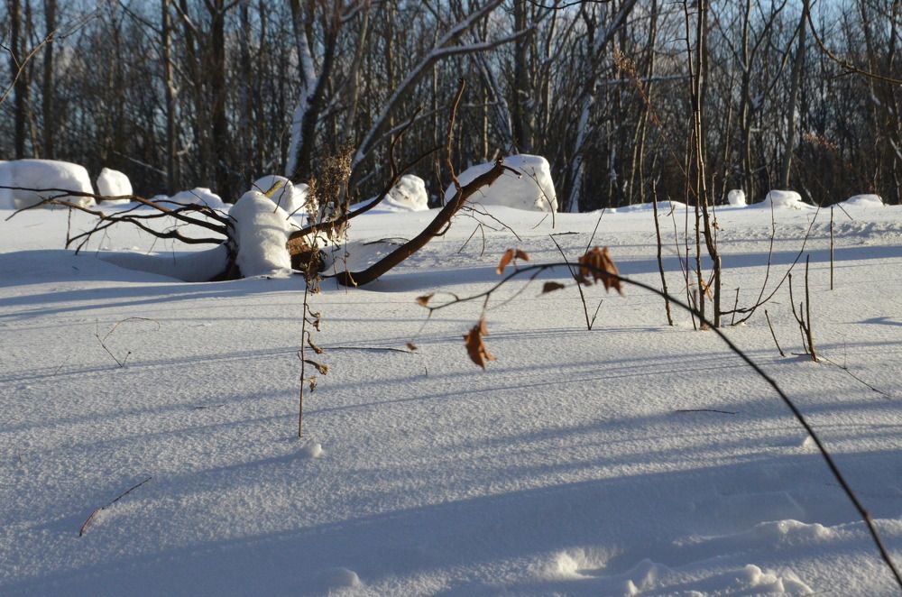 Photograph by Ольга МИхайлова