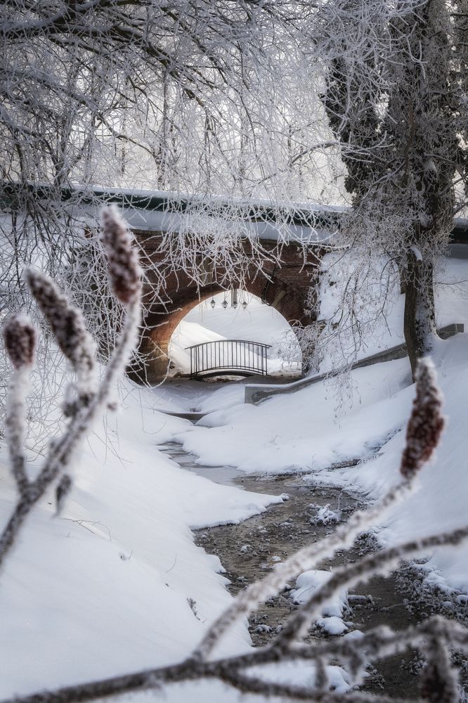 Photograph by Иван Мосьянов