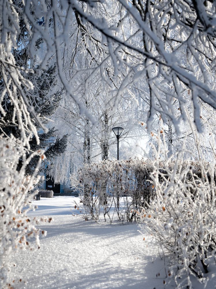 Photograph by Иван Мосьянов