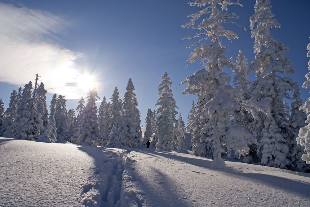 Photograph by Ирина Щеглова