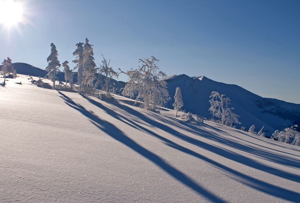 Photograph by Ирина Щеглова