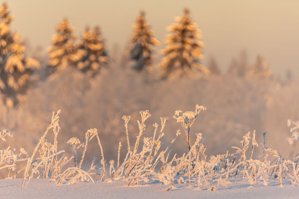 Photograph by Дмитрий Константинов