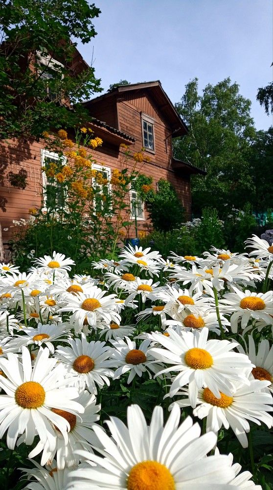 Photograph by Maiya Bulatova