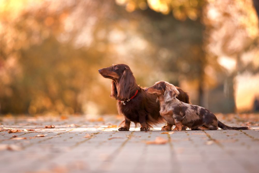 Photograph by Костусева Евгения Юрьевна