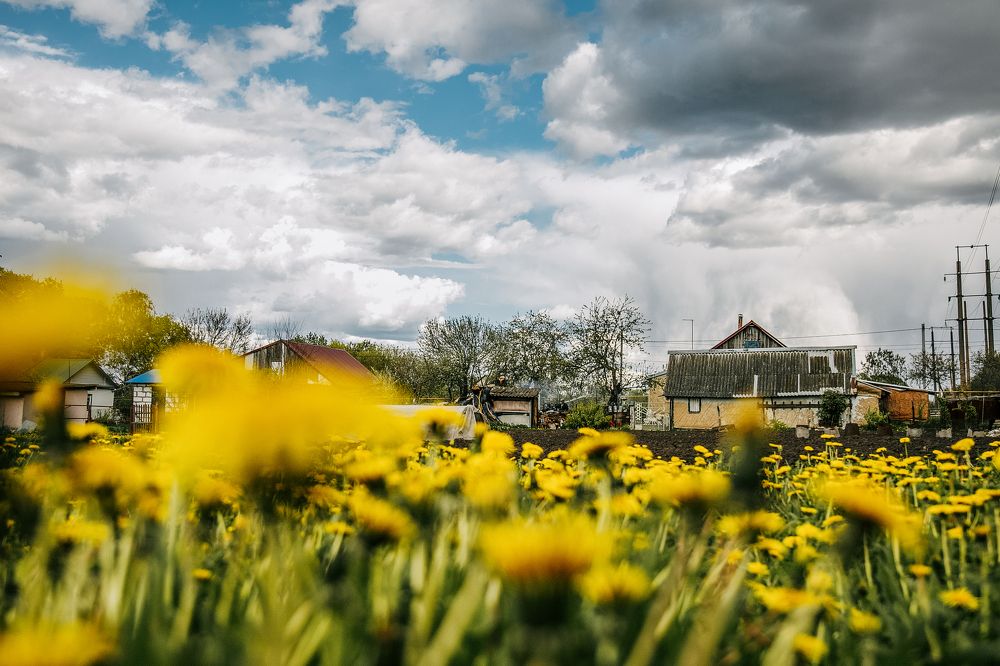 Photograph by Екатерина