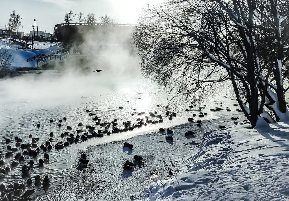 Photograph by Юлия