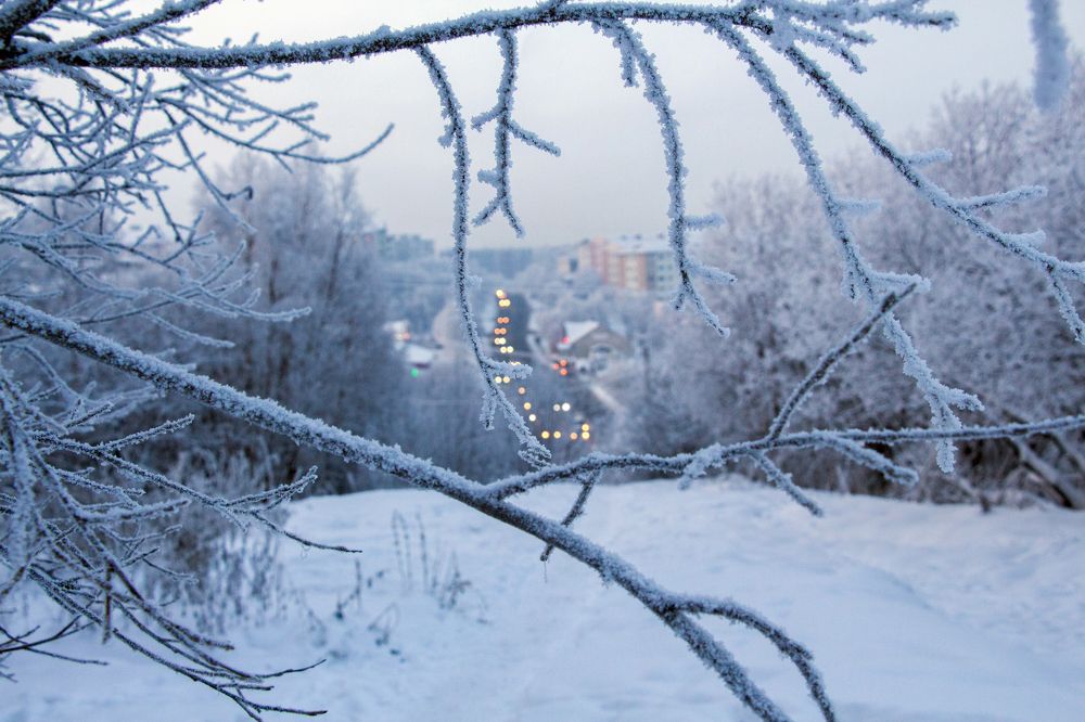 Photograph by Ольга Страуманис