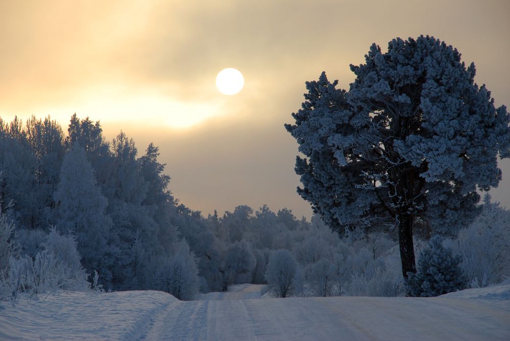 Фотография автора Linards Onzuls