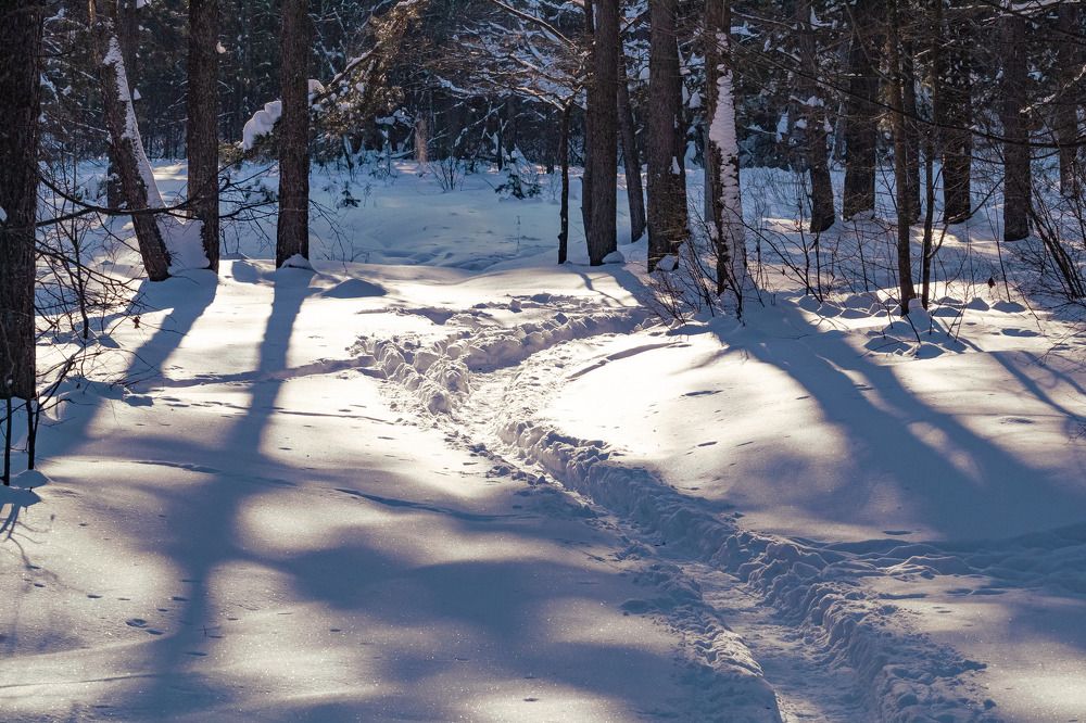 Photograph by Татьяна Козина