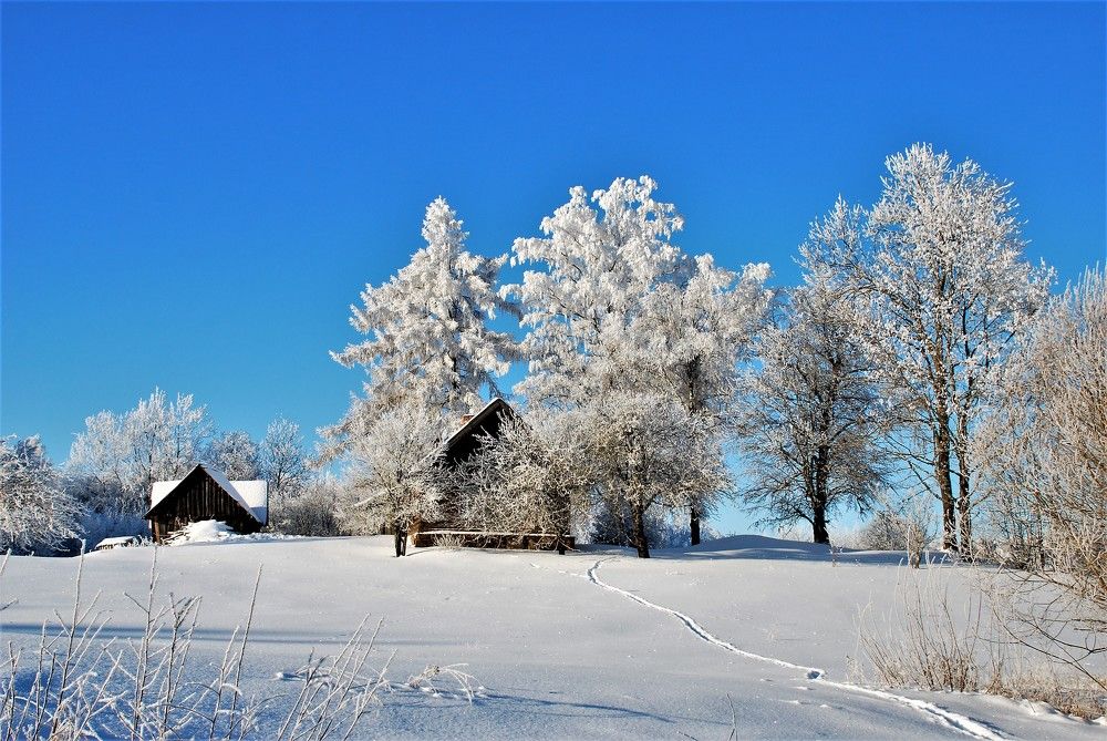 Фотография автора Linards Onzuls