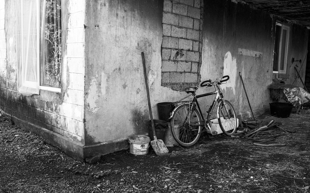 Photograph by Alex Kalpus