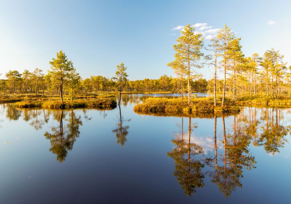 Photograph by Olga Yarovenko