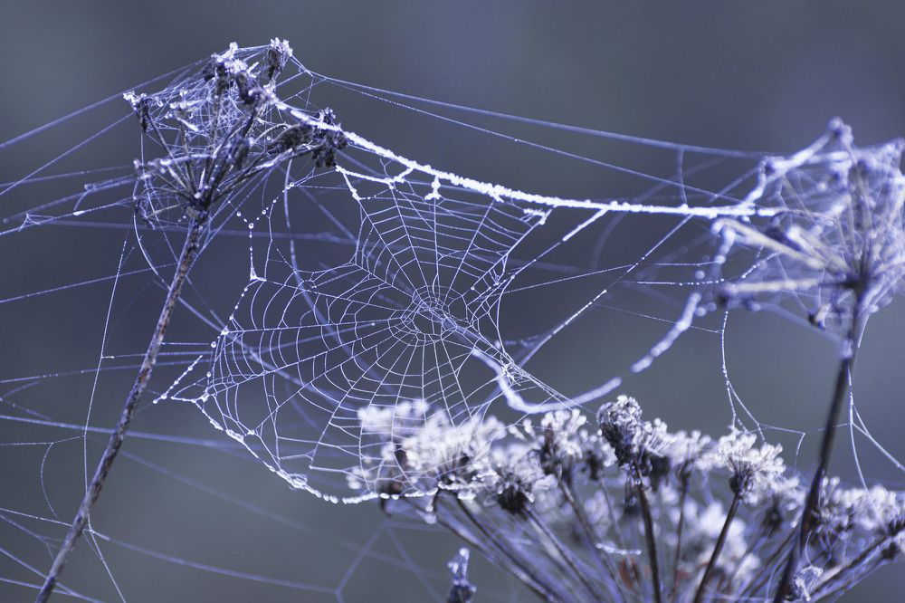 Photograph by Татьяна Козина