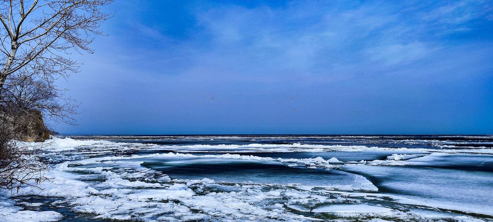 Photograph by Ирина Шибитова