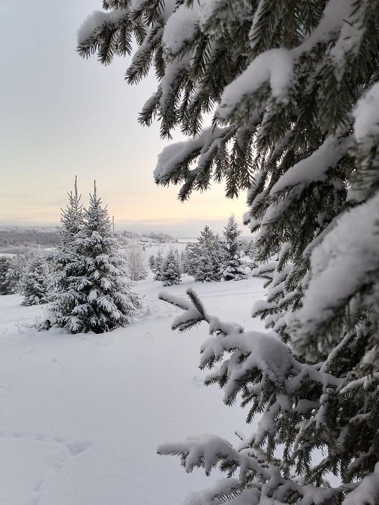 Photograph by Татьяна Бешенкина