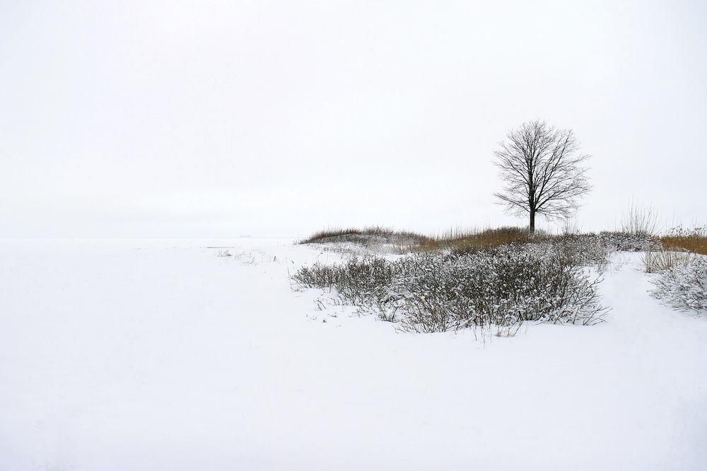 Photograph by Инна Сидоренко