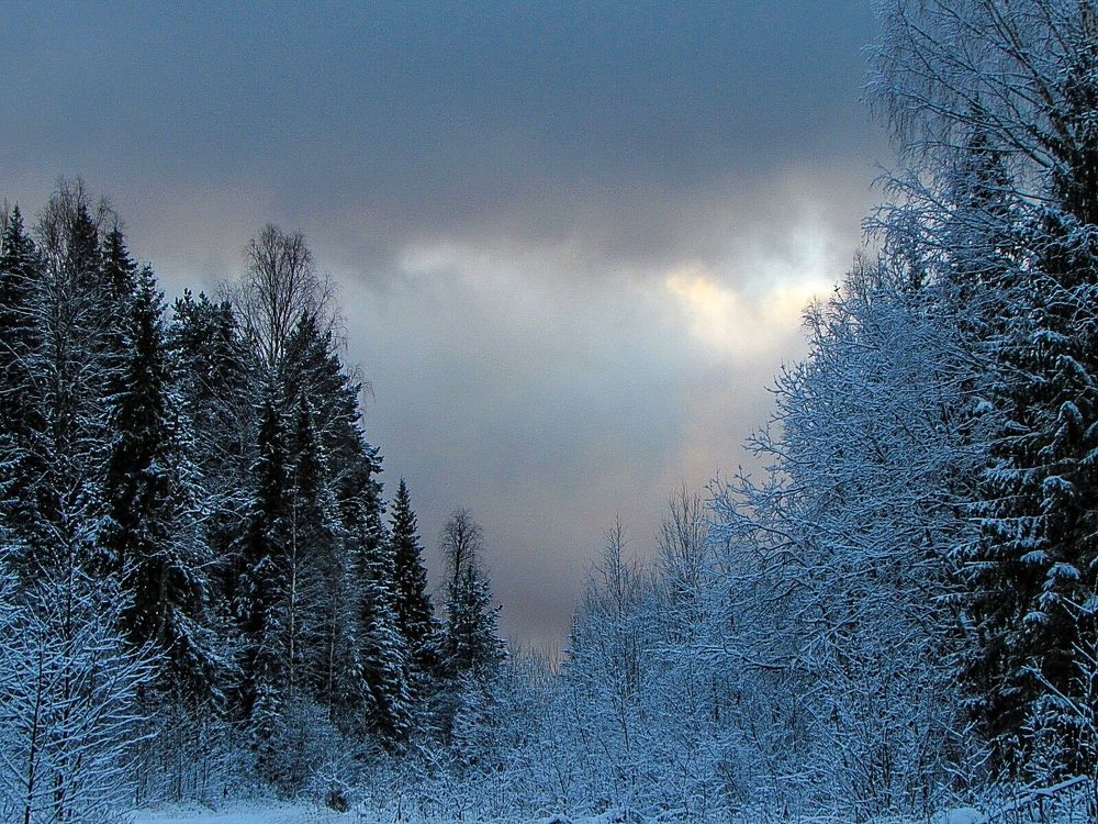 Photograph by Николай Морозов