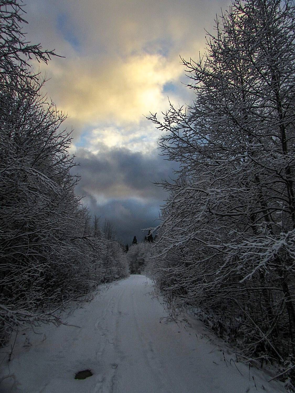 Photo #10169774