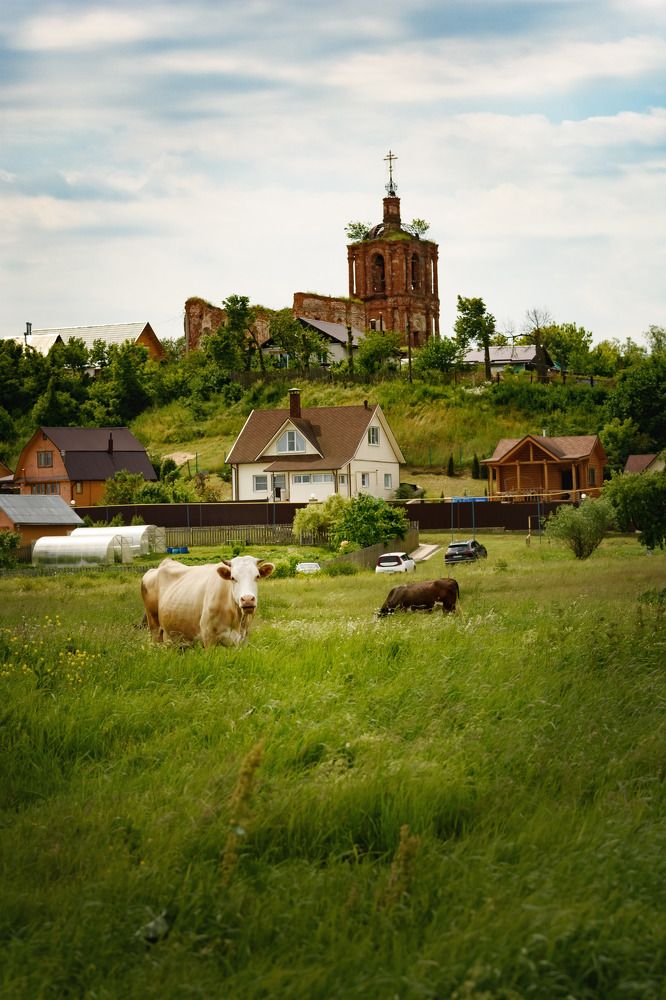 Возрождение деревни