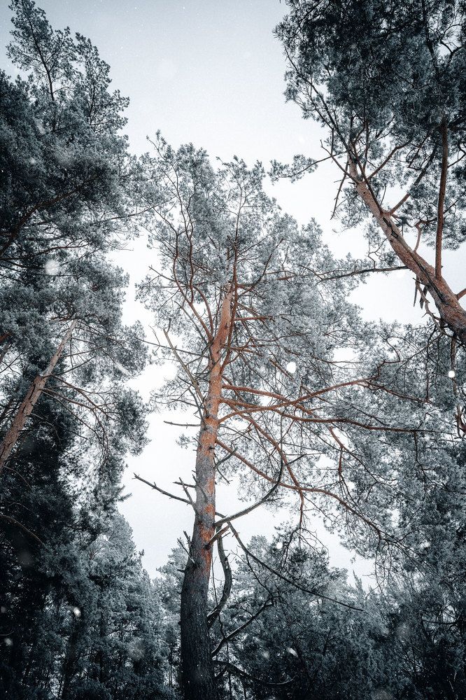 Photograph by Siarhei